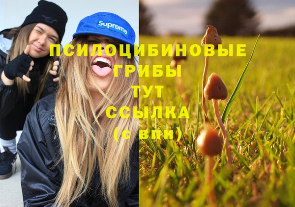 бошки Алексеевка