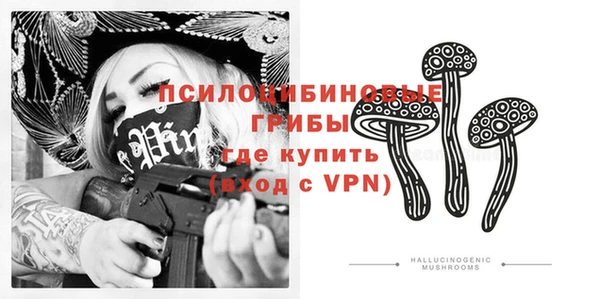 бошки Алексеевка