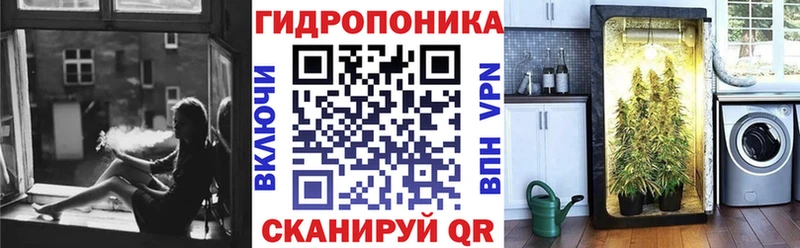 Бошки Шишки Bruce Banner  Грязовец 